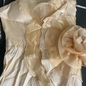 Beautiful short dress semi formal